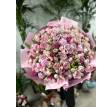 51 кустова  троянда